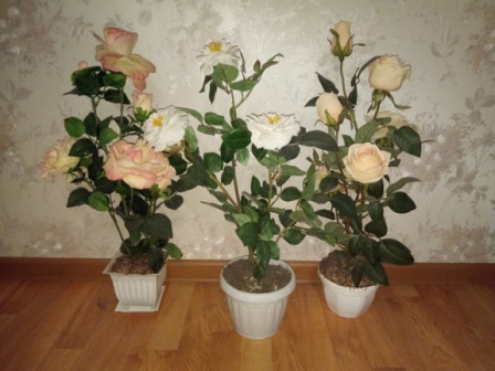 448x336  66 KB. Big one: 4608x3456  4272 KB