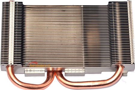 450x298  74 KB. Big one: 1500x993  344 KB