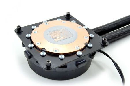 450x298  35 KB. Big one: 1500x993  261 KB