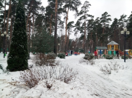 448x332  91 KB. Big one: 4208x3120  4503 KB