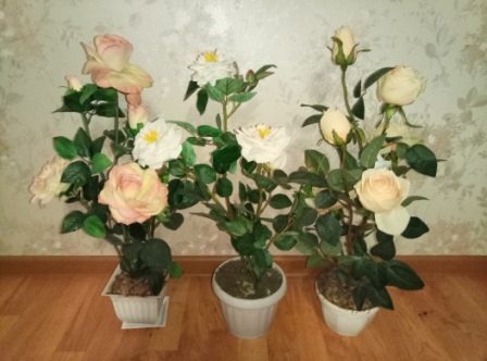 448x332  70 KB. Big one: 4208x3120  3609 KB