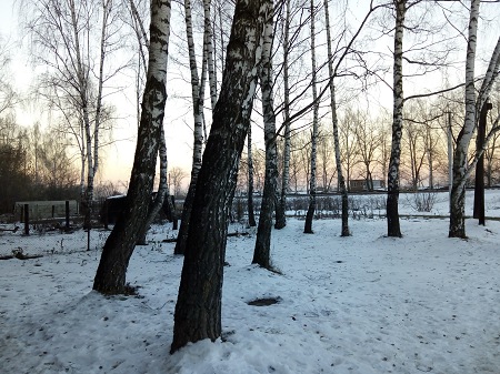 450x337  87 KB. Big one: 4224x3168  5619 KB