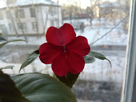 450x337  40 KB. Big one: 4224x3168  2778 KB