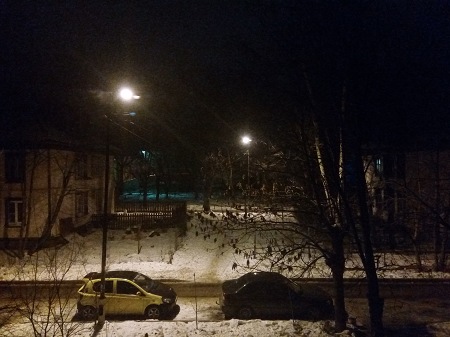 450x337  49 KB. Big one: 4224x3168  4372 KB