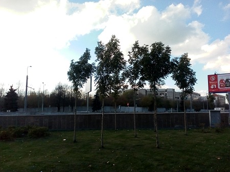 450x337  51 KB. Big one: 4160x3120  3141 KB