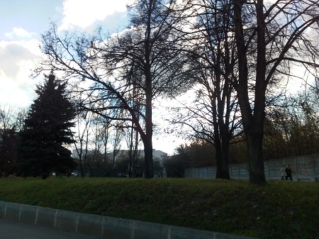 450x337  77 KB. Big one: 4160x3120  3854 KB