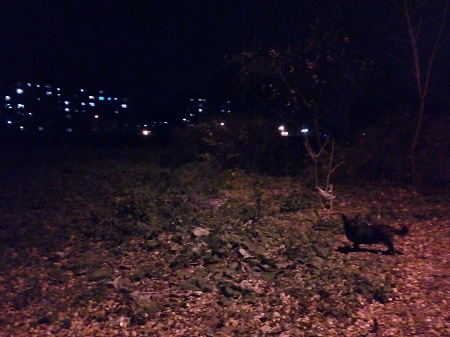 450x337  52 KB. Big one: 4160x3120  2505 KB