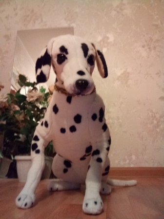 336x448  60 KB. Big one: 1920x2560  1823 KB