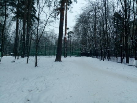 448x336  80 KB. Big one: 4160x3120  5113 KB