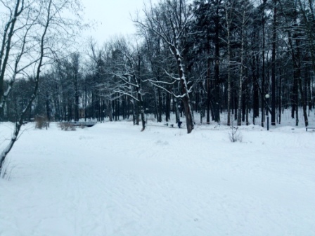 448x336  75 KB. Big one: 4160x3120  4591 KB