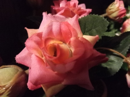 448x336  58 KB. Big one: 4160x3120  3962 KB