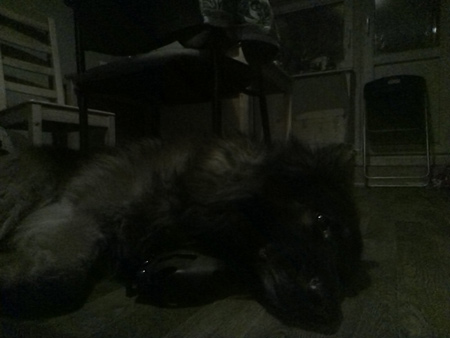 450x338  41 KB. Big one: 1600x1200  251 KB