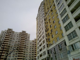 337x253  176 KB. Big one: 4608x3456  5677 KB