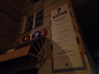 337x253  158 KB. Big one: 4608x3456  4209 KB