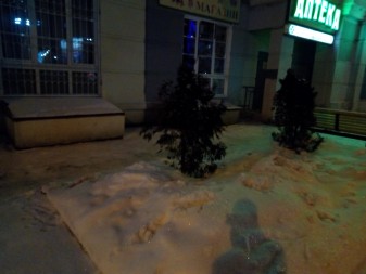 337x253  162 KB. Big one: 4608x3456  4830 KB