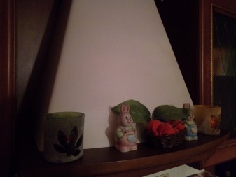 337x253  156 KB. Big one: 4608x3456  4293 KB