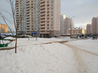 338x253  48 KB. Big one: 5488x4112  8095 KB