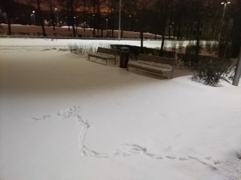 338x253  30 KB. Big one: 5488x4112  6301 KB