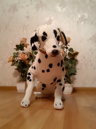 336x448  52 KB. Big one: 1920x2560  1261 KB