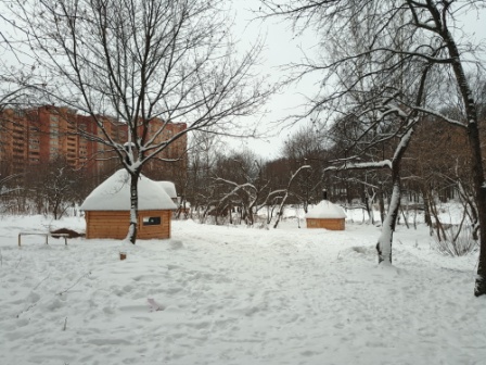 448x336  86 KB. Big one: 4000x3000  5209 KB