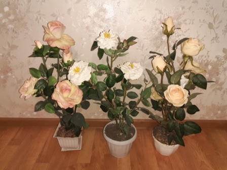 448x336  69 KB. Big one: 4000x3000  4116 KB