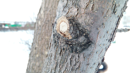 450x253  52 KB. Big one: 4864x2736  3764 KB