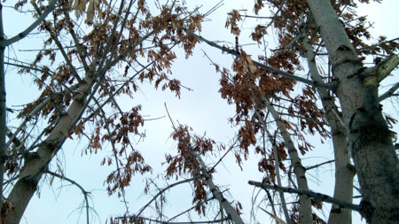 450x253  57 KB. Big one: 4864x2736  5437 KB