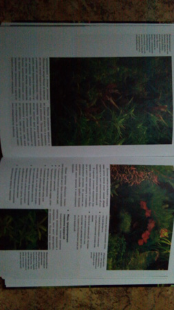 253x450  46 KB. Big one: 2736x4864  5644 KB