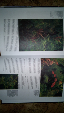 253x450  45 KB. Big one: 2736x4864  3949 KB