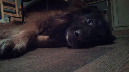 450x253  41 KB. Big one: 3840x2160  3263 KB