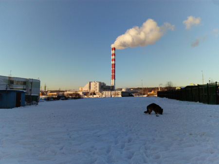 450x338  42 KB. Big one: 4160x3120  1767 KB