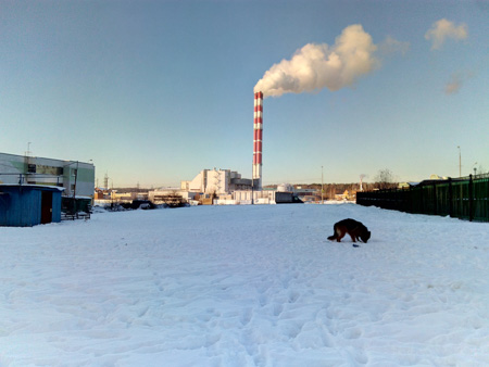 450x338  47 KB. Big one: 4160x3120  2068 KB