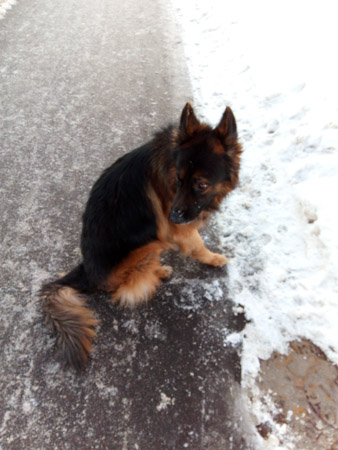 338x450  49 KB. Big one: 3120x4160  1668 KB