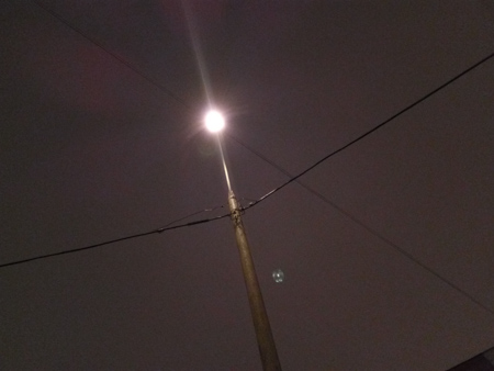 450x338  51 KB. Big one: 4160x3120  1223 KB