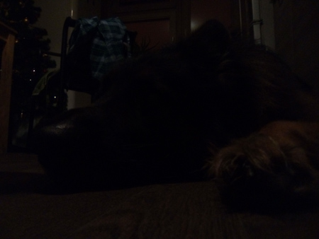 450x338  42 KB. Big one: 2560x1920  270 KB