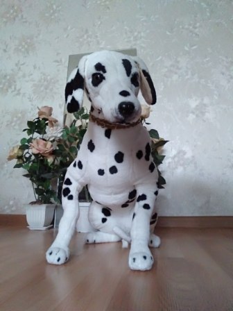 336x448  36 KB. Big one: 1944x2592  616 KB