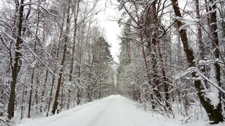 450x253  60 KB. Big one: 5376x3024  7684 KB