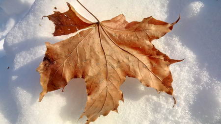 450x253  35 KB. Big one: 5376x3024  4296 KB