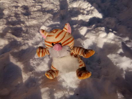 450x338  40 KB. Big one: 2560x1920  1654 KB