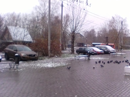 450x337  51 KB. Big one: 1600x1200  401 KB