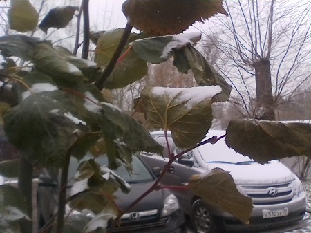 450x337  57 KB. Big one: 1600x1200  424 KB