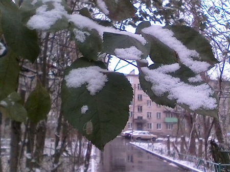 450x337  65 KB. Big one: 1600x1200  476 KB