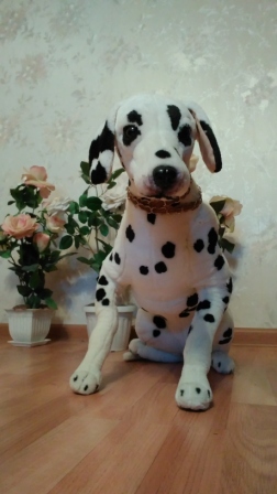 252x448  61 KB. Big one: 1836x3264  1748 KB