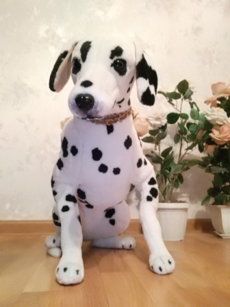 336x448  53 KB. Big one: 2448x3264  2043 KB