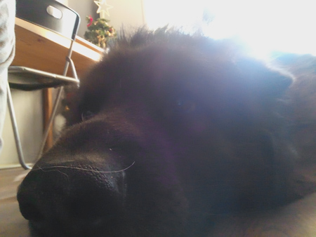 450x338  60 KB. Big one: 2560x1920  883 KB