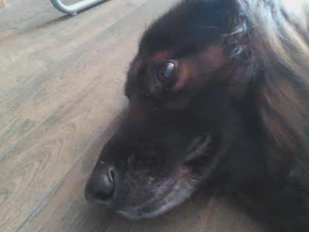 450x338  43 KB. Big one: 2560x1920  992 KB