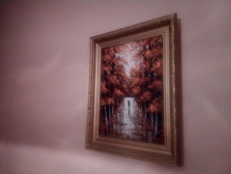 337x253  78 KB. Big one: 4160x3120  2376 KB