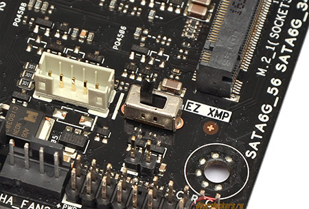 450x304  83 KB. Big one: 1500x1012  326 KB