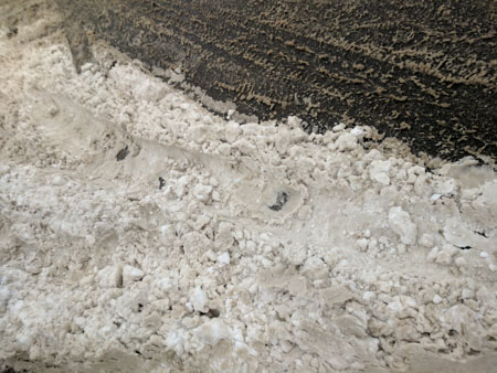 450x338  56 KB. Big one: 4048x3036  4529 KB