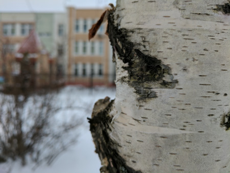 450x338  55 KB. Big one: 4048x3036  3137 KB